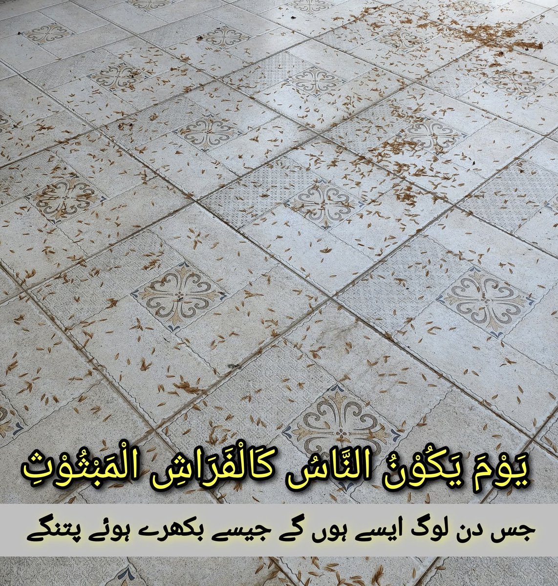 kokee73's tweet image. یوں پڑے ہونگے ہم انسان قیامت کے دن۔۔۔۔ کہیں ڈھیروں کی شکل میں، کہیں الگ الگ، پوری زمین پر بکھرے ہوئے۔ نہ امیر نہ غریب، نہ عقلمند نہ بیوقوف، نہ عالم نہ جاہل، نہ سٹائلش نہ سادہ، نہ آقا نہ رعایا۔۔۔۔ 
سب ایک جیسے جسم۔۔۔۔۔
ایک ہی زمین۔۔۔۔۔
اور ایک ہی حاکم۔۔۔۔ 
اللہ جَلَّہ جَلالُہ۔۔.