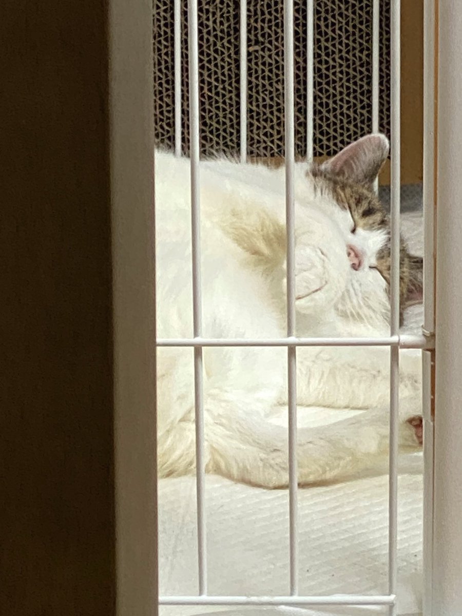 임보언니 근무뷰
발라당 쿨쿨 임도로
#가족찾는도로