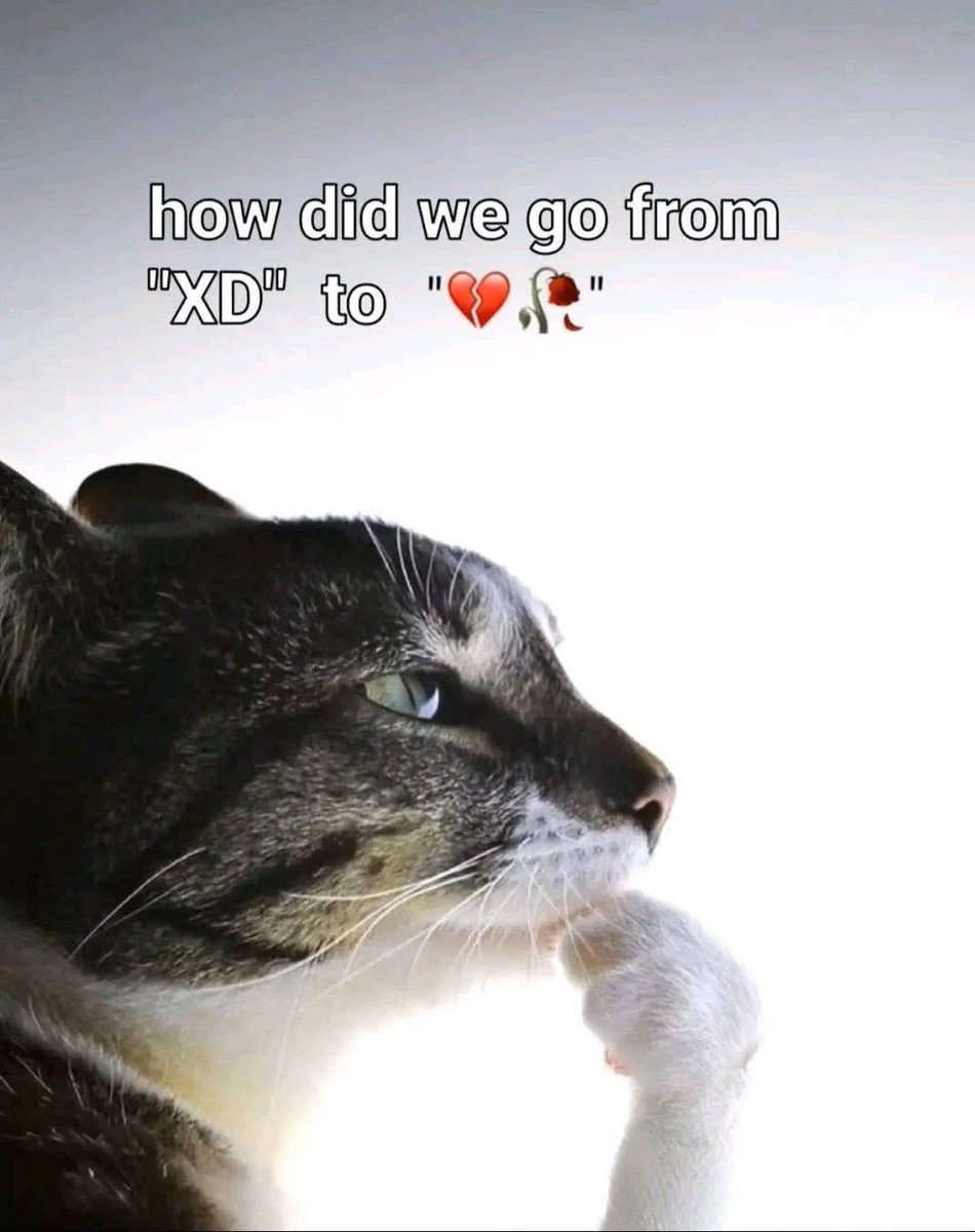 TheCumpound's tweet image. 