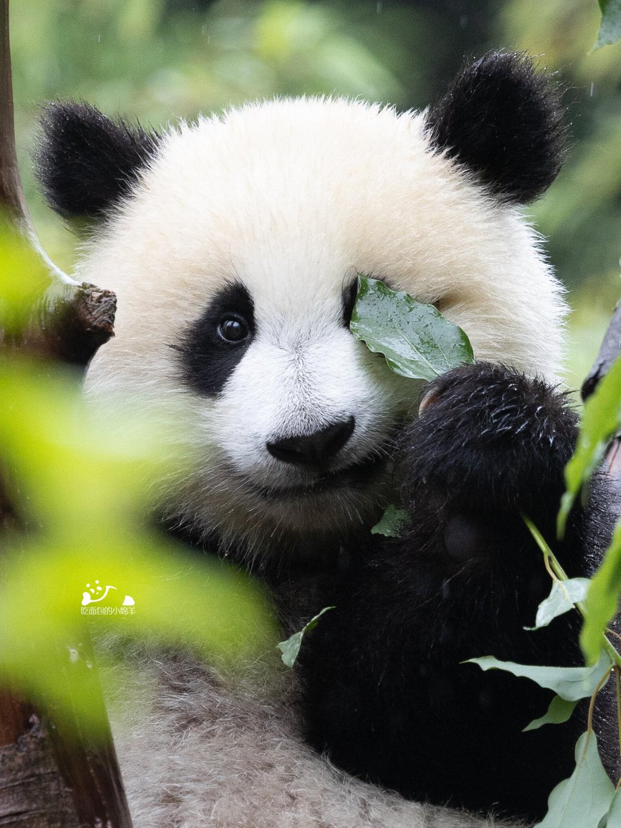 Hi~ 🌿
#互关互粉