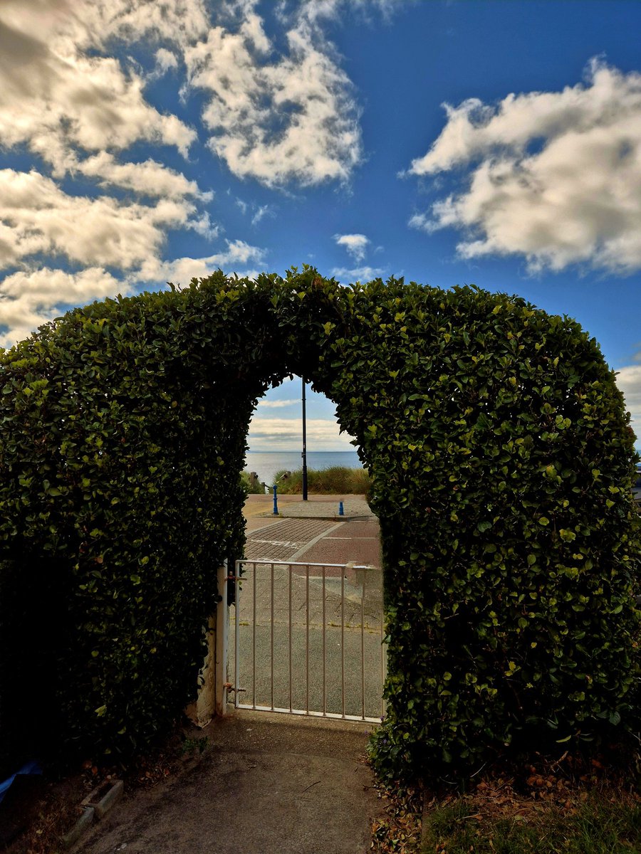 LZellas's tweet photo. Arabella's arch
#topiarytuesday https://t.co/zmgXCgm6FH