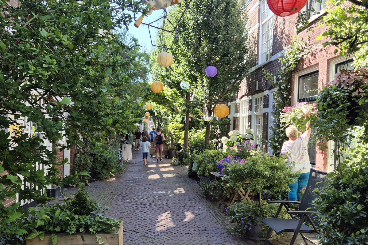 NandaSluijsmans's tweet image. Stadsstraatje in centrum #Haarlem. Fantastisch!🥰
Groene straten zijn zo mooi en goed voor flexibiliteit ☀️🌧 en iedereen! 🌿🙋🏻♀️🐦⬛
#welzijn #klimaatbestendig #vergroenen