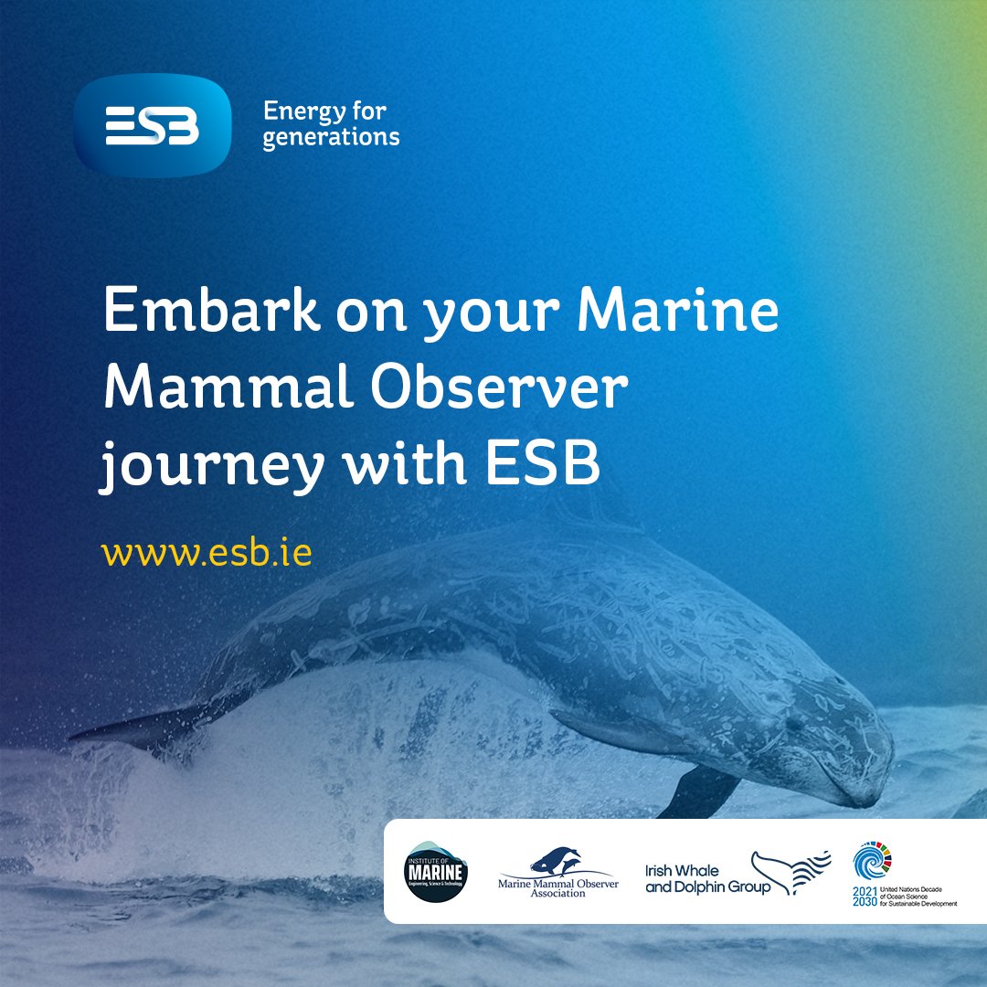 WindEnergyIRL's tweet image. Bespoke ESB Marine Mammal Observer training programme to help address Irish skills gap!
@ESBGroup are supporting Ireland’s offshore wind ambitions by rolling out their third consecutive bespoke Marine Mammal Observer (MMO) training programme.
Applications for their 2025…