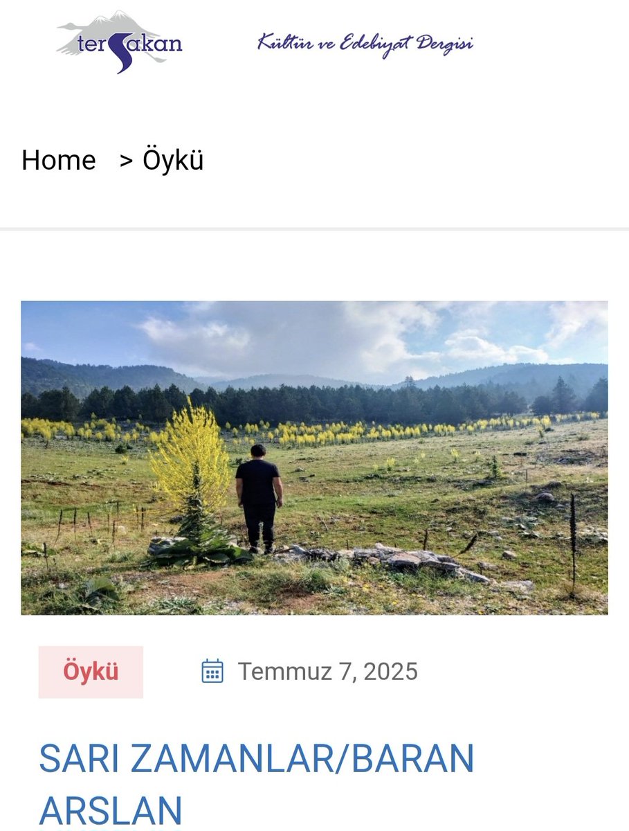 Tersakan Sanat Dergimizin Temmuz Ağustos sayısı yayında.

SARI ZAMANLAR/BARAN ARSLAN tersakansanat.com/2025/07/07/sar…