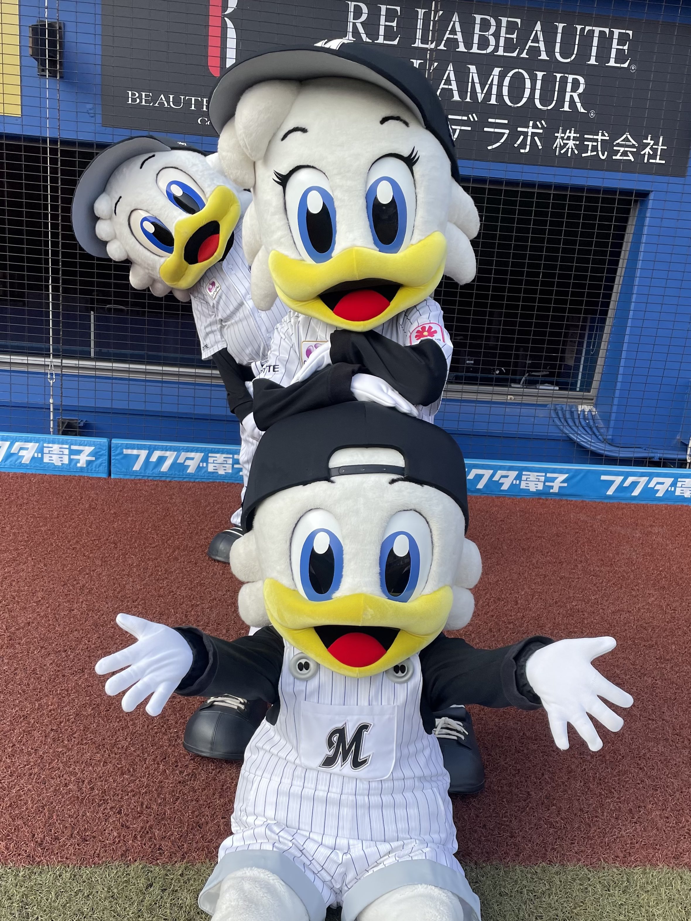 マーくん(千葉ロッテマリーンズ) (@chibalotte_mar) / X