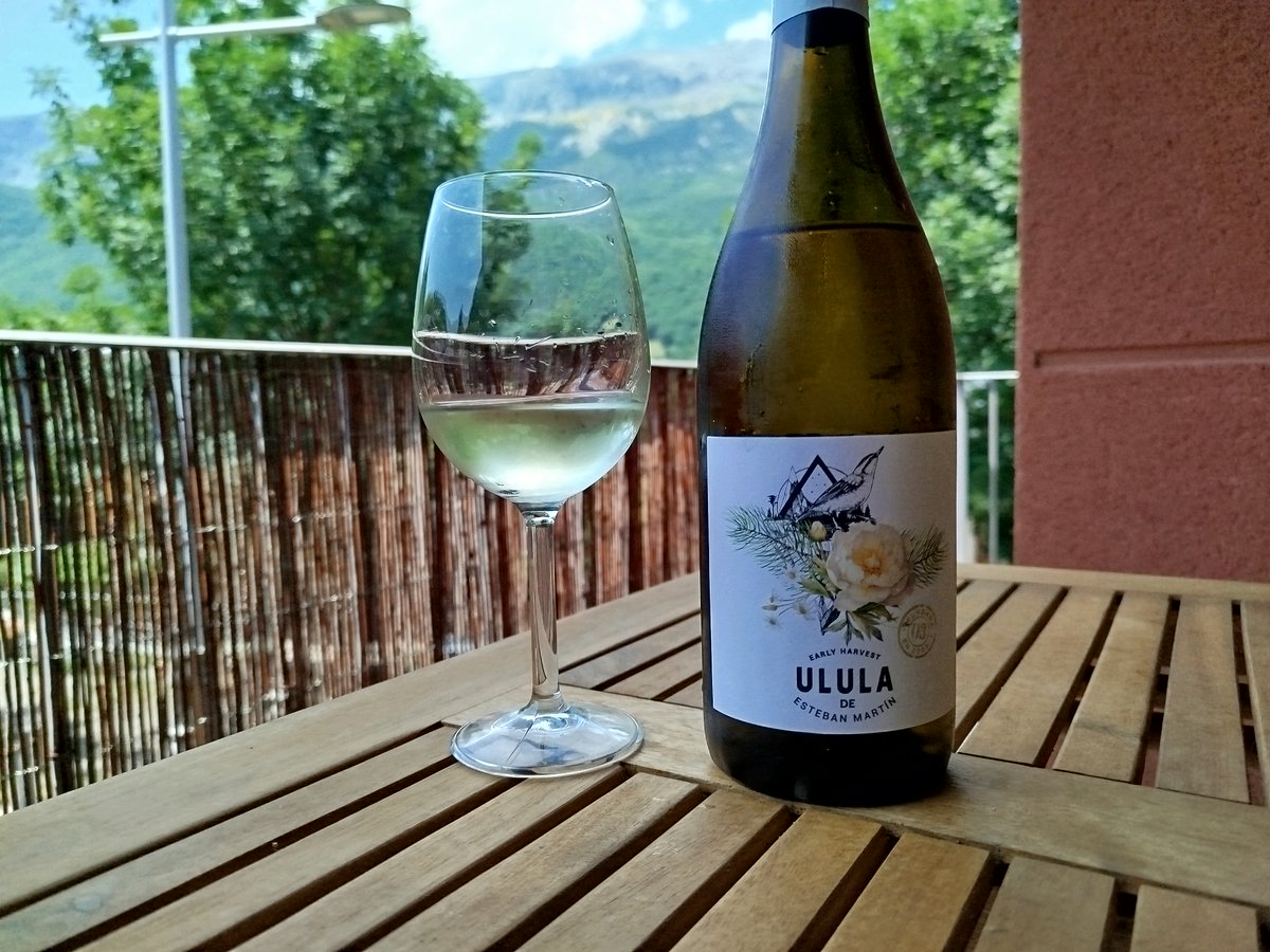 Bodegas Esteban Martín acaba de sacar al mercado un nuevo vino blanco, dentro de sus vinos de colección Ulula. Se trata de un varietal de Sauvignon Blanc. Esta primera añada, de la cosecha de 2024, ha salido redonda. Toda la información en
maderadebuixo.blogspot.com