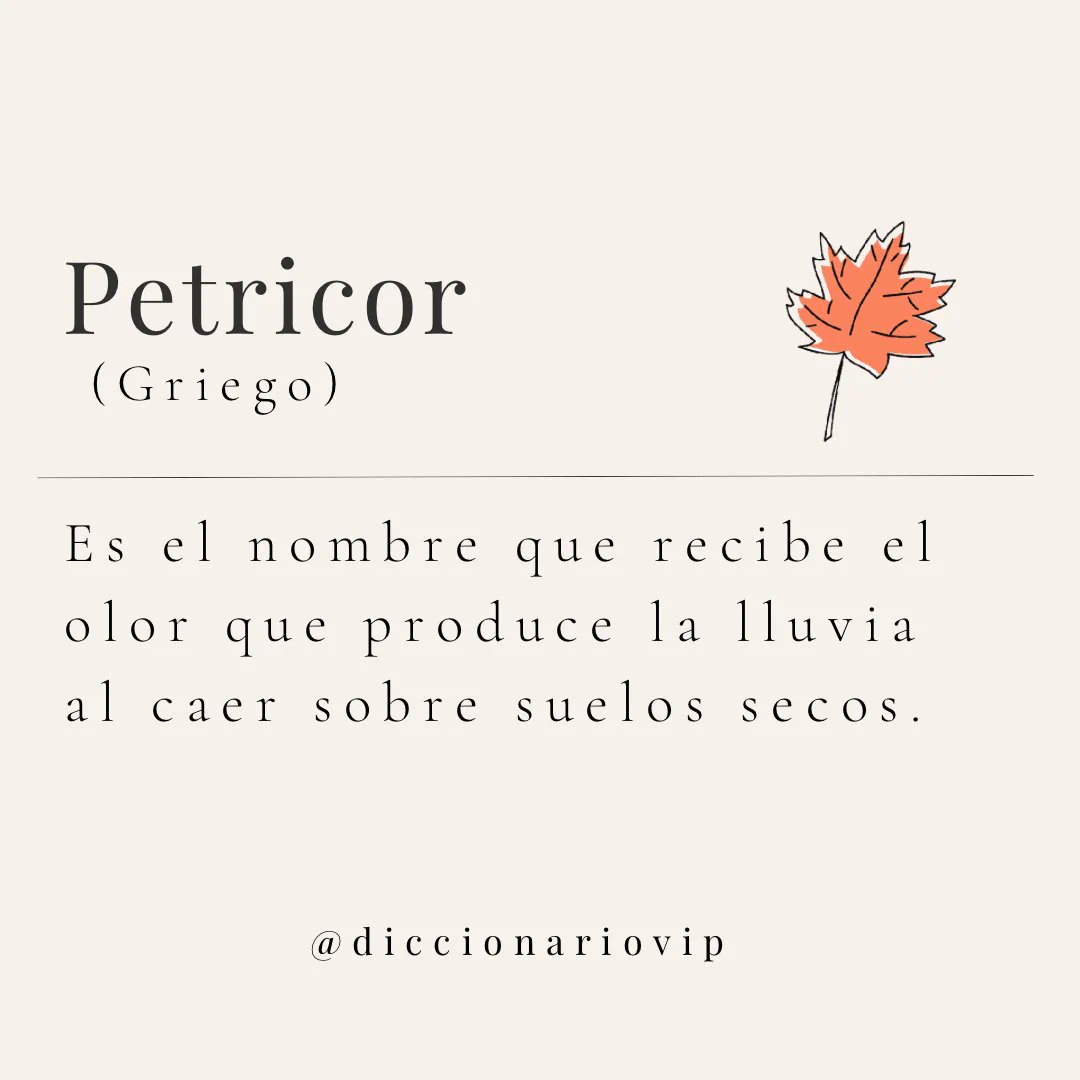 Diccionario VIP (@diccionariovip) on Twitter photo 