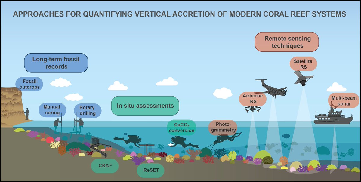 CambridgePrisms's tweet image. Discover the latest insights on quantifying coral reef accretion in a changing world!
This #CPCoastalFutures article explores approaches, challenges, and emerging opportunities in understanding coral reef growth.
➡️ bit.ly/40C8UZE
#CoralReefs #coastal @ExeterGeography