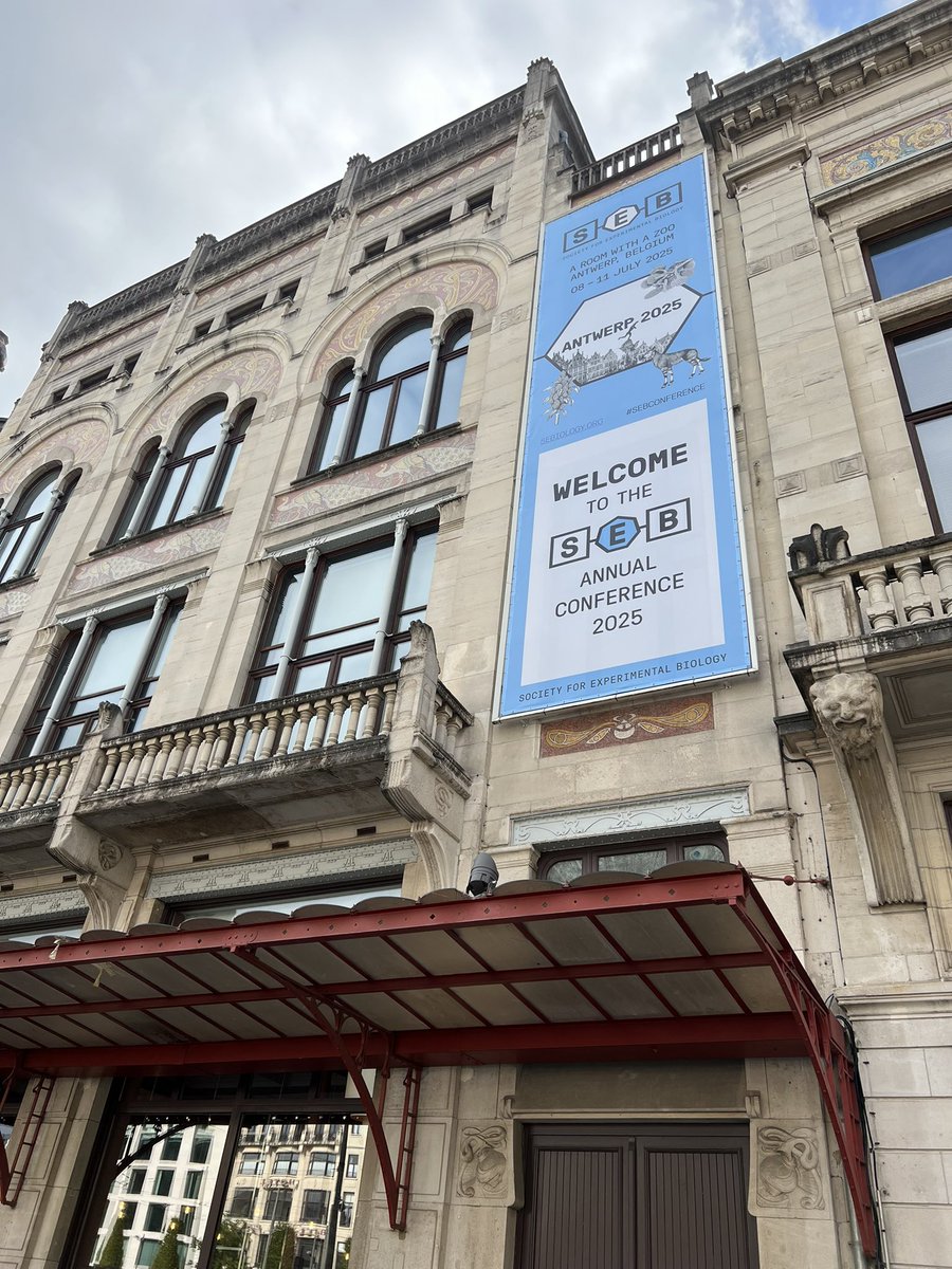 Dr Luke McCrone tweet media