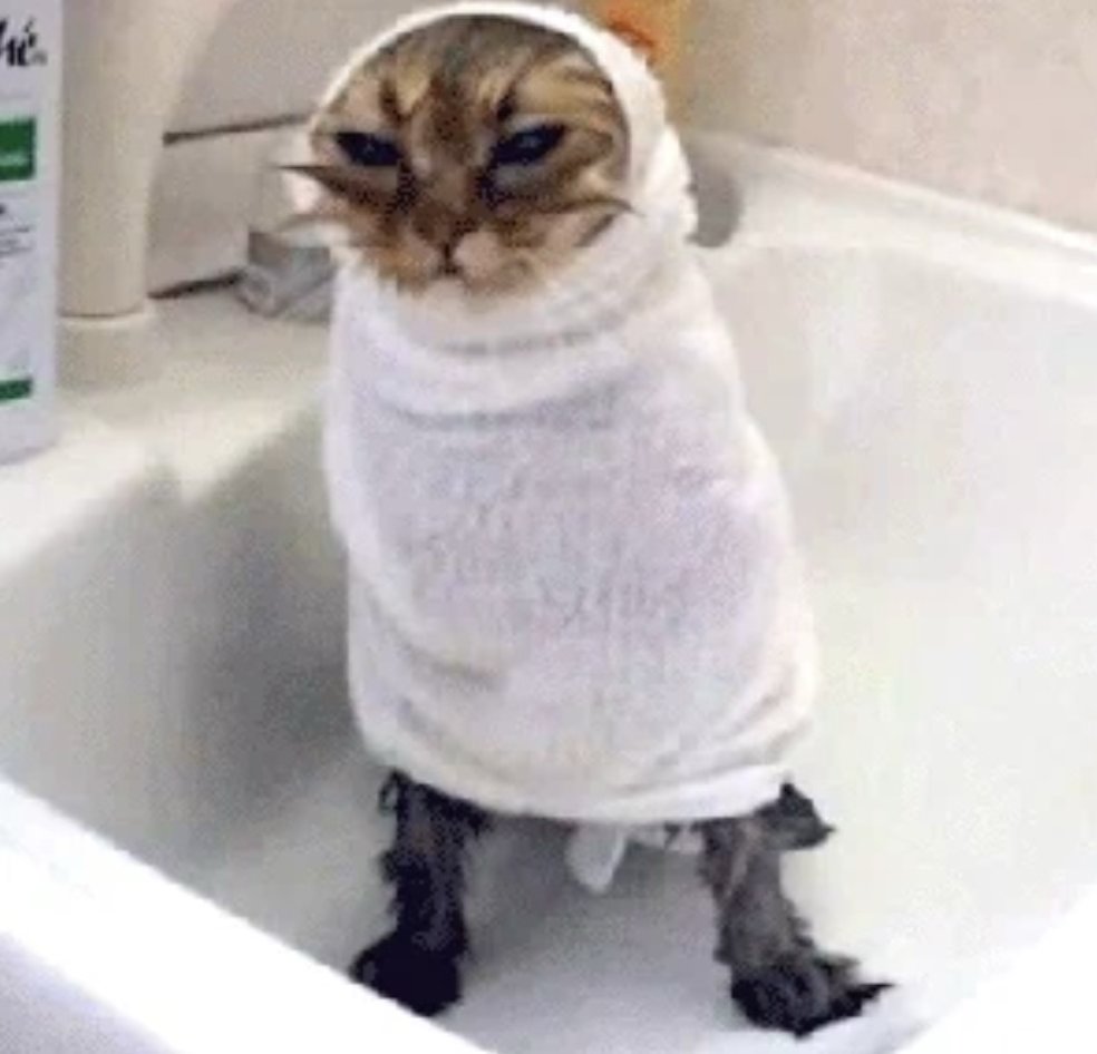 Bajando el vidrio de cualquier manera porque creo que nadie me va a ver 💅