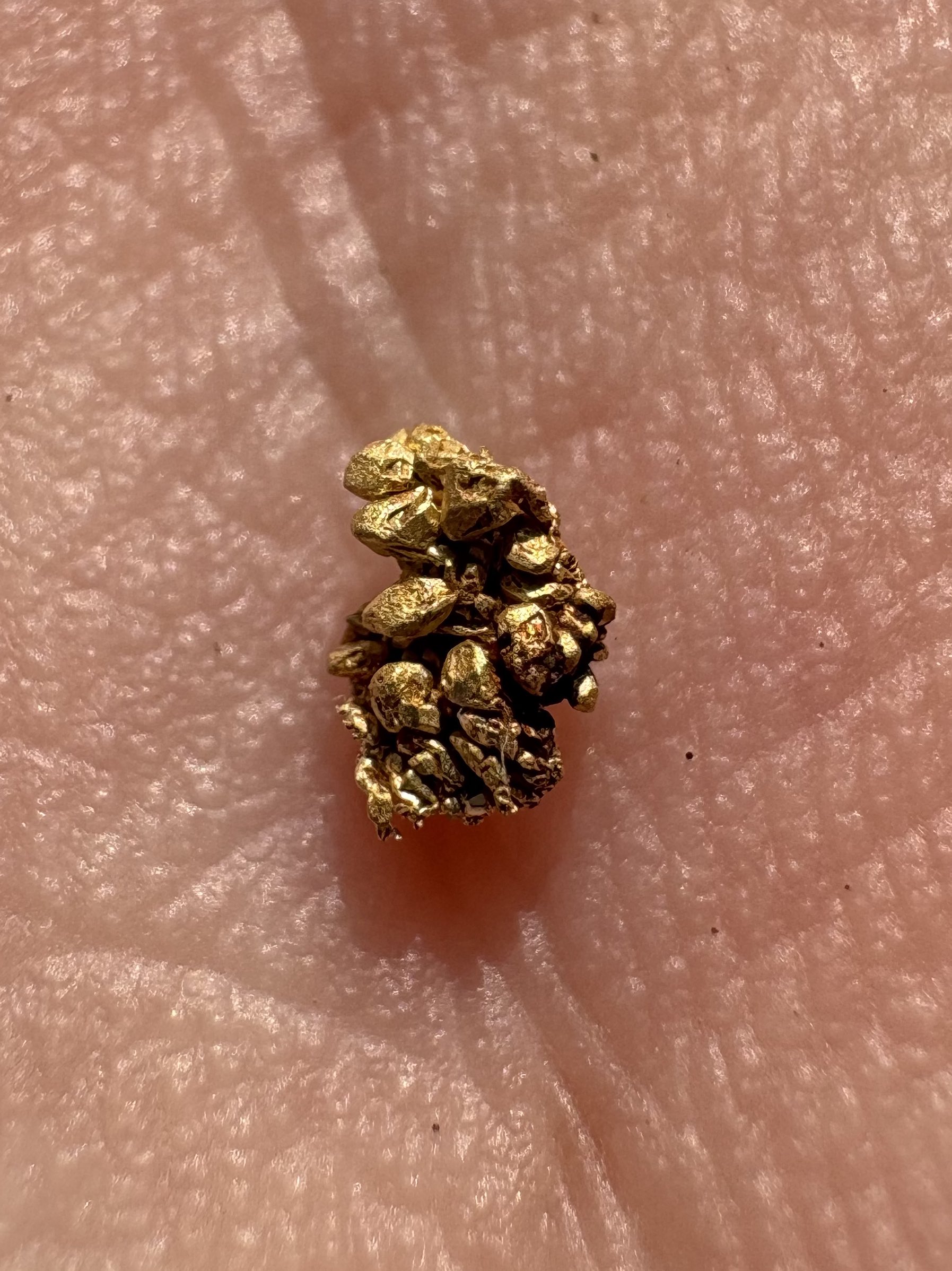Amazon.co.jp: 砂金 天然金 0.5gram 砂金採り体験や鉱物の勉強に