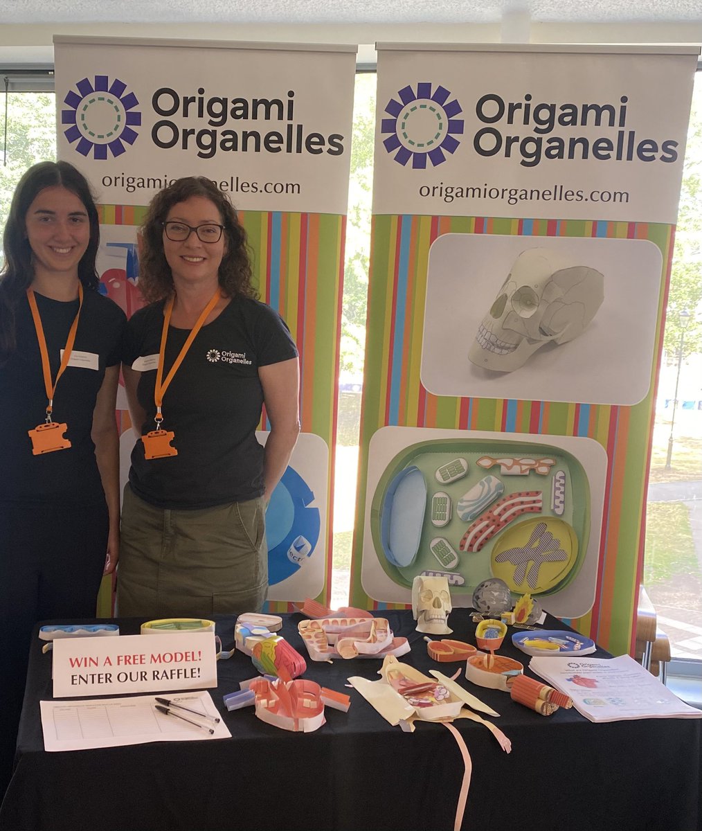 OrigamiCells's tweet image. So happy to be at the Secondary Science Festival in Bedford today! Our daughter joined us for work experience! Find out more about our paper models at origamiorganelles.com!
@ScienceHubHEB