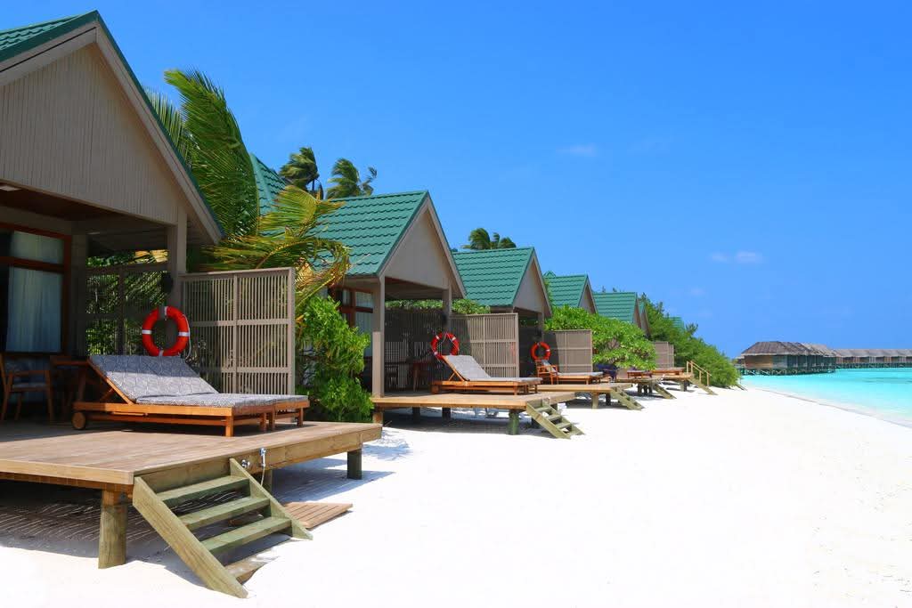 TAGTravel_Za's tweet photo. Magic Maldives Sale Now On - Don't Miss Out!
quote@hashtagholidays.co.za
+27117595100
#2025travels #WanderlustVibes #choosedaytrips #maldivesislands #hashtagholidays #letsgothere https://t.co/0oKbS1WEV4