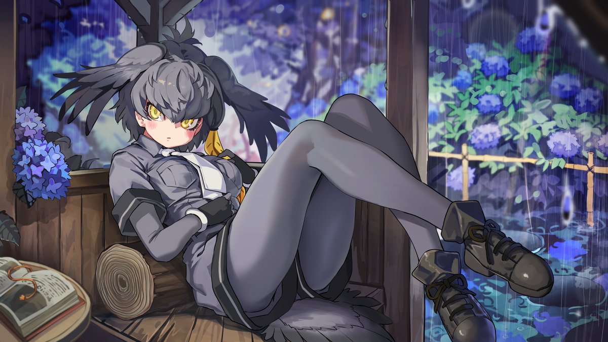 紫陽花とハシビロコウ、リクエストいただきました🌂
ありがとうございます！