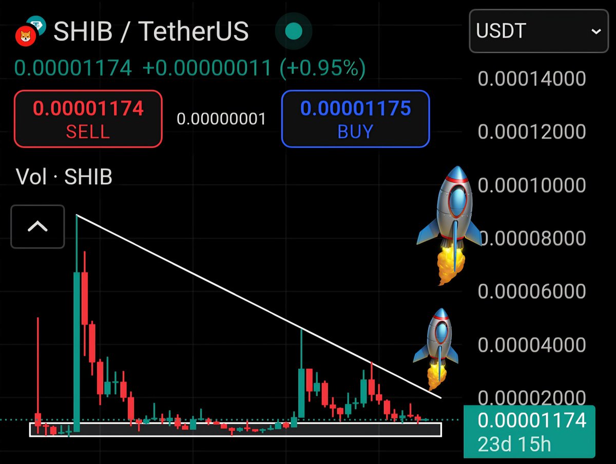 Buy more #SHIB before Giga Pump!🔥🚀