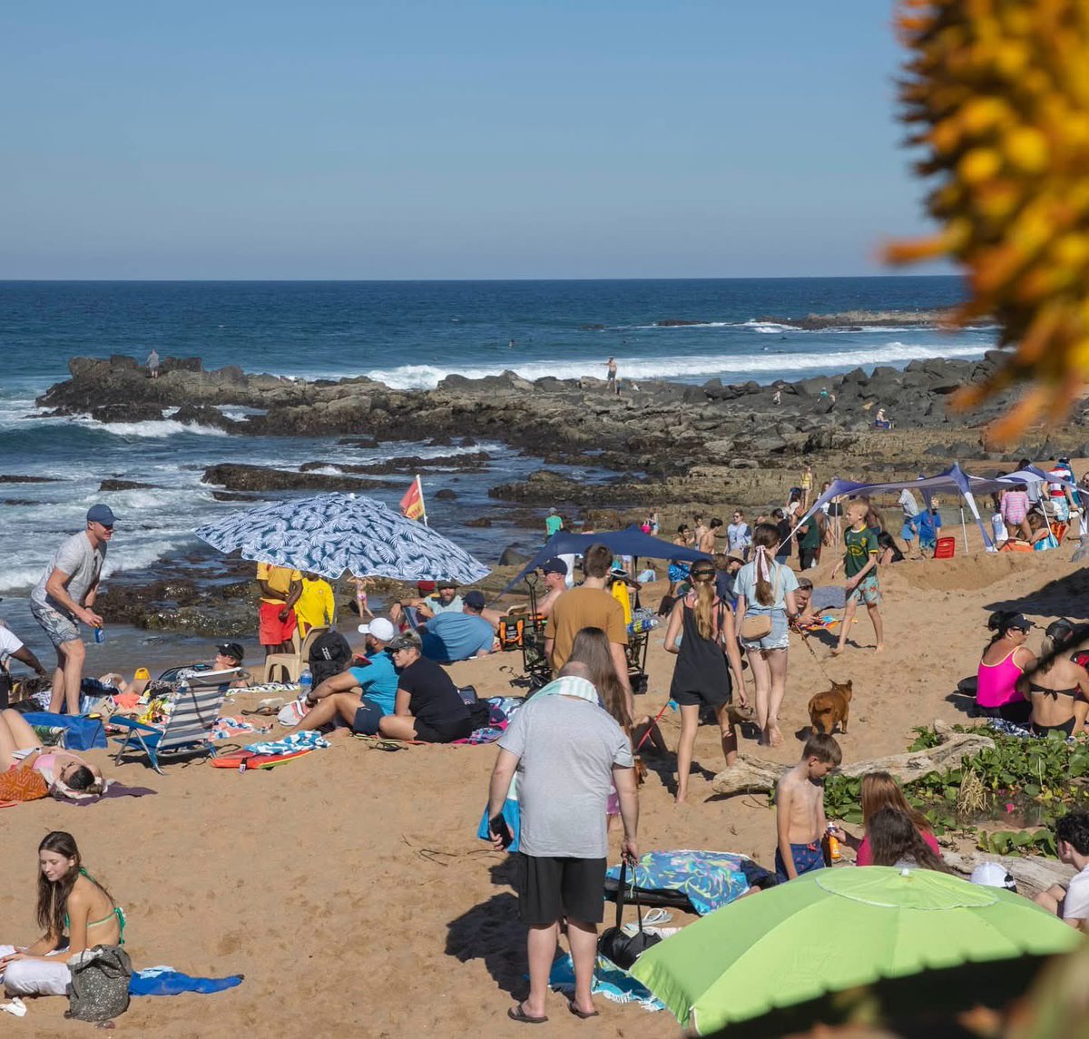 The Ballito Pro tweet media