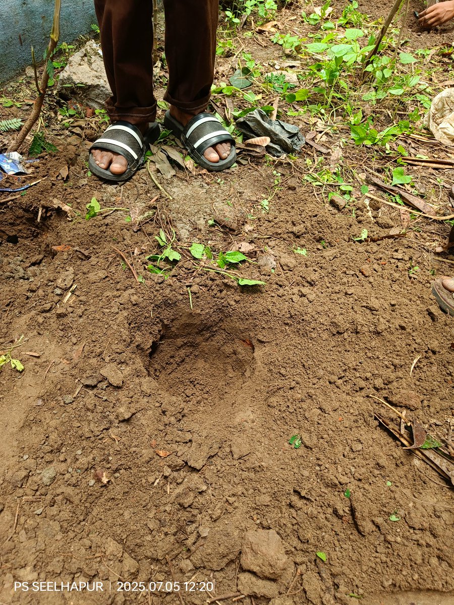 🌳 #प्रकृति_मित्र 🌳
Name -SANTOSH NISHAD
Address- PS SEELHAPUR
<a href="/shikshansamvad/">मिशन शिक्षण संवाद @shikshansamvad</a>  <a href="/teachersclubup/">teachers club</a> <a href="/UNEP/">UN Environment Programme</a> <a href="/eriksolheim/">Erik Solheim</a> <a href="/myogiadityanath/">Yogi Adityanath</a> <a href="/narendramodi/">Narendra Modi</a> <a href="/DEFCCOfficial/">Department of Environment, Forest & Climate Change</a> <a href="/basicshiksha_up/">Department Of Basic Education Uttar Pradesh</a> <a href="/Rupendersingh02/">Rupender Singh MSS</a>
साभार- टीम प्रकृति मित्र 
मिशन शिक्षण संवाद
#EkPedMaaKeNaam