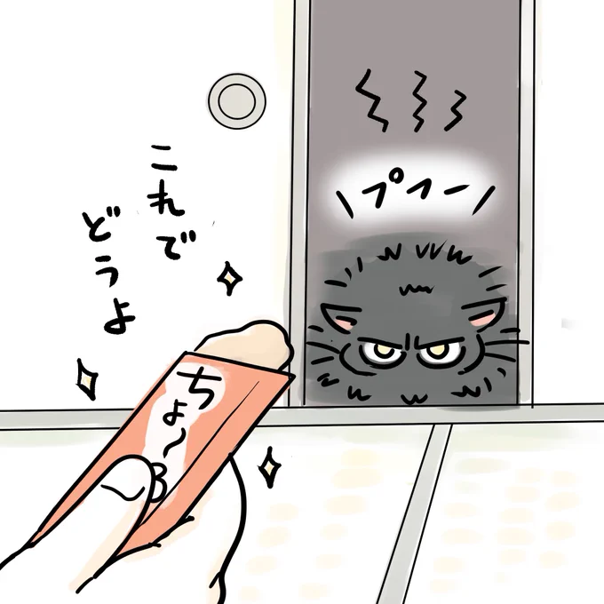 なつかない猫 秘密兵器
#なつかない猫 