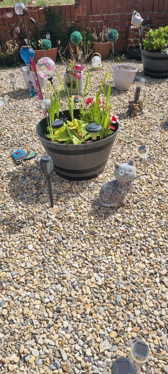 Left him watching lingo with his nan after a hard day at work,while I water the plants