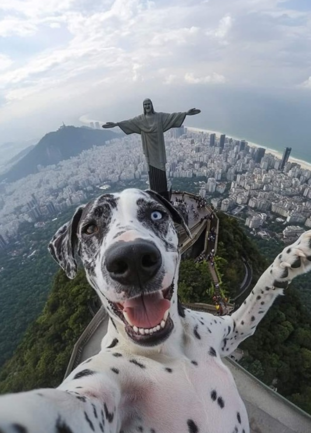 Best selfie ever 🐾