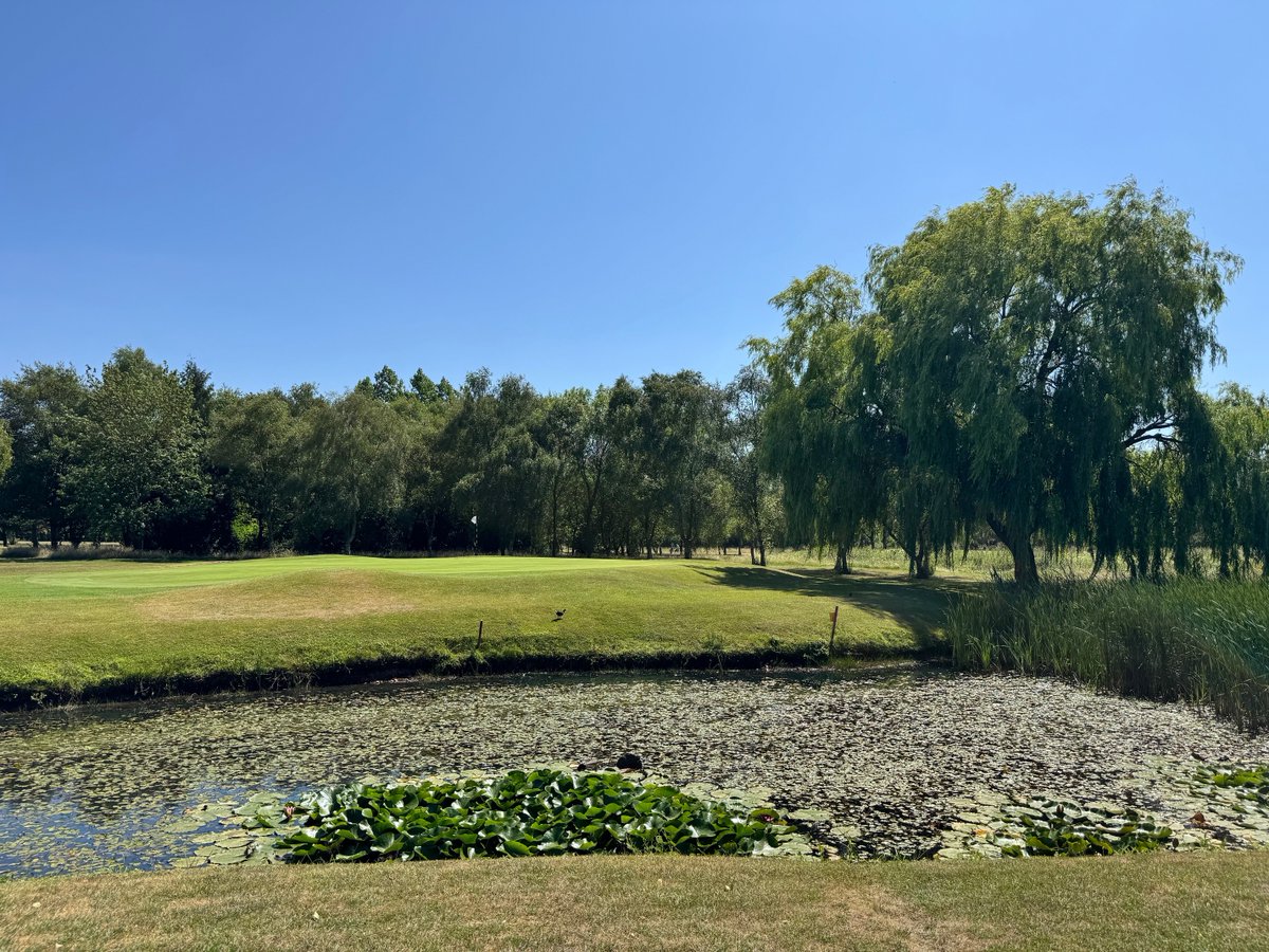 Last weekend's recent rain has done our golf course the world of good! With the weather set fair for the upcoming week why not come and visit us to see for yourself? 🤩 bit.ly/VisitorsNGC 😎