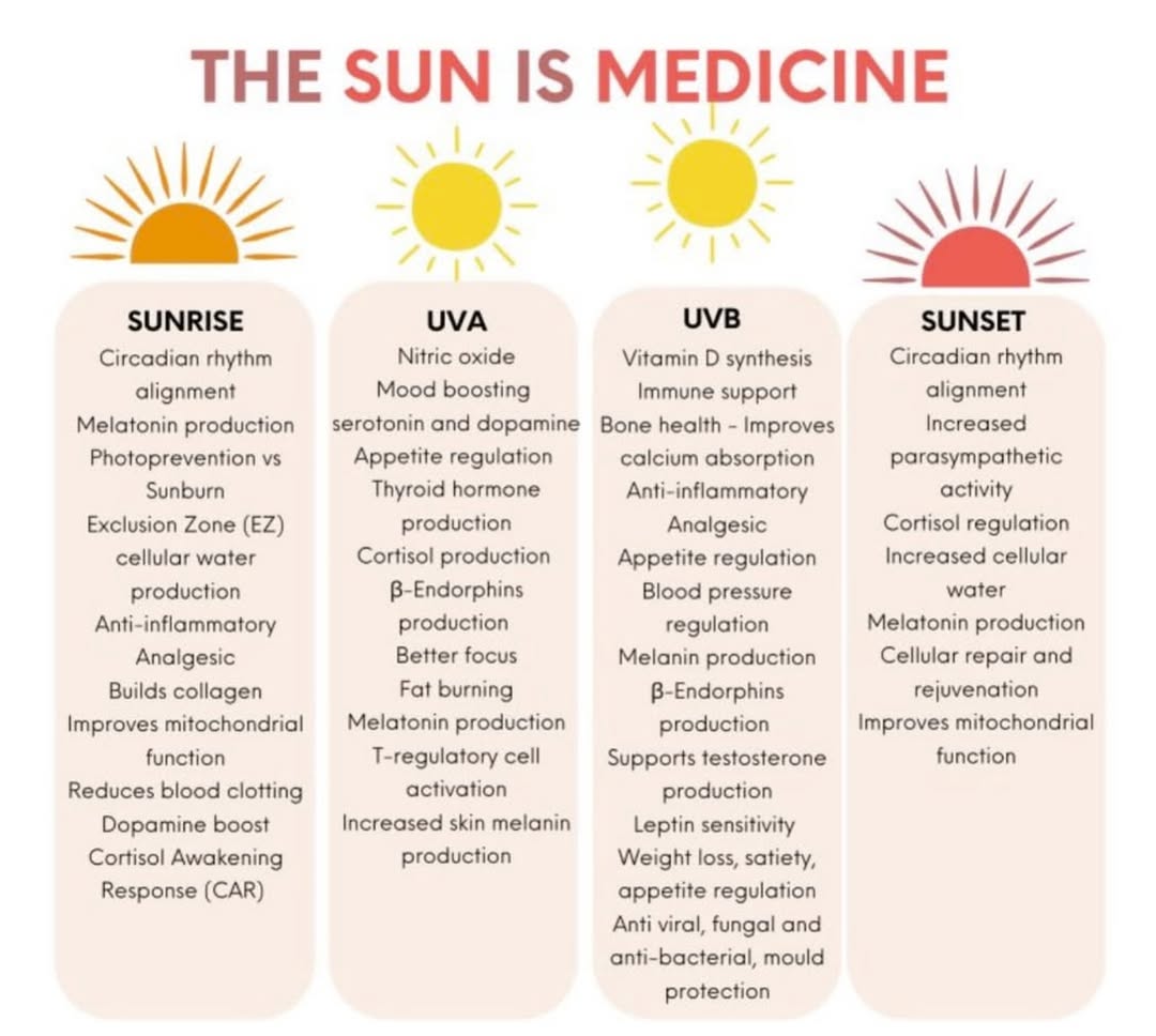 Niels Reiberg Finsen began using sunlight as a treatment for primarily two diseases: smallpox and tuberculosis of the skin (due to lack of Vitamin D). He also discovered that UV radiation benefited those who had been diagnosed with lupus vulgaris, a skin condition. As I