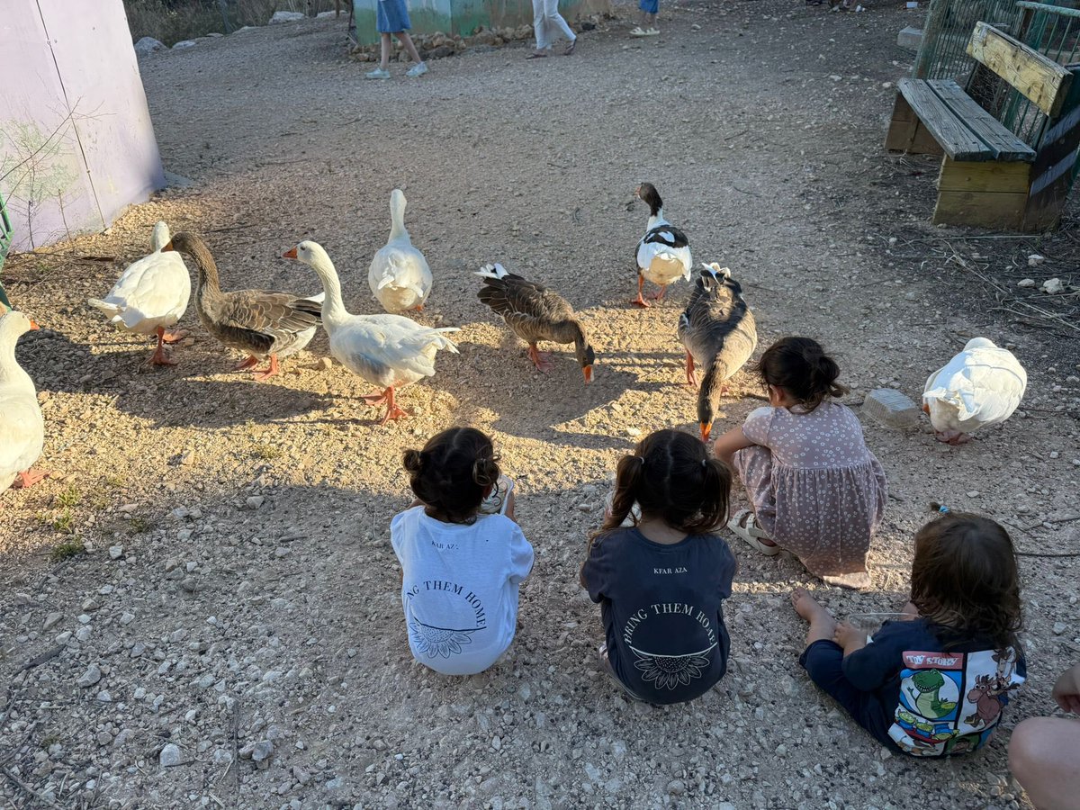 ביום ראשון אחר הצהריים הגענו עם הילדים למלון קסום בכפר גלעדי. השלט שקיבל אותנו בכניסה ללובי החזיר אותנו לפרופורציות הנכונות, ״ימי הפוגה״ למשפחות שכולות. כמה ימים שהוקדשו לאנשים שהם כבר לא אותם האנשים.

מיד ירדתי עם הילדים לג׳ימבורי המאובזר בקומה התחתונה והיו שם מלא ילדים