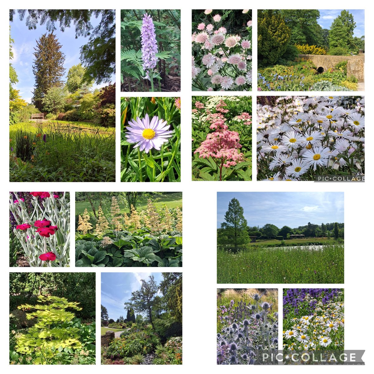 reading_ulysses's tweet image. A lovely day to stroll around the gardens @RHSHarlowCarr