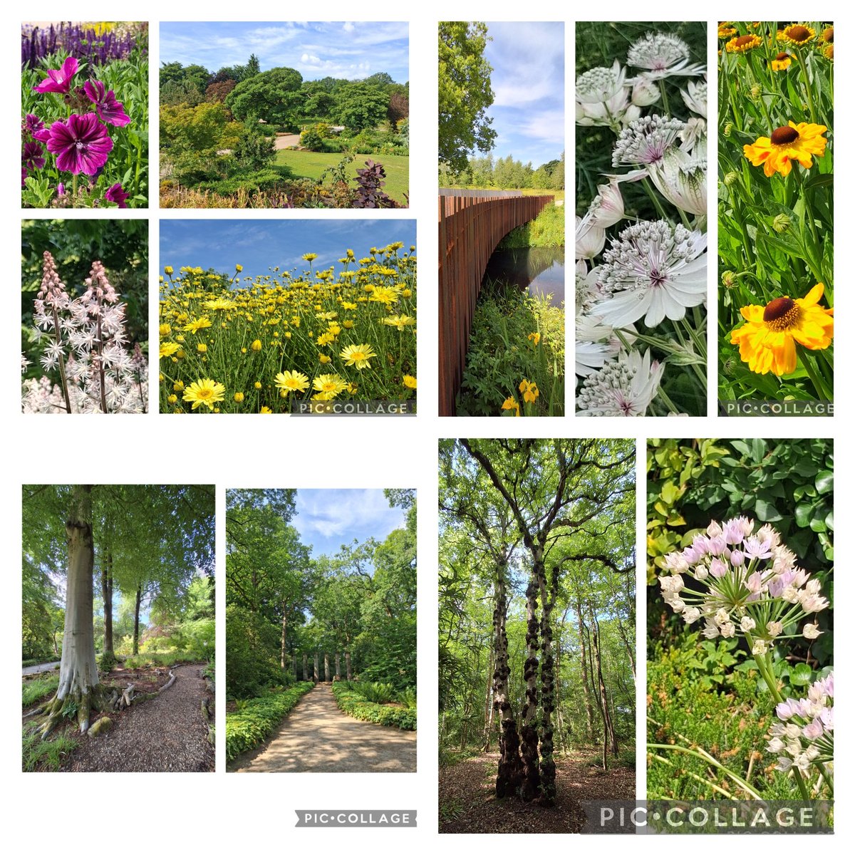 reading_ulysses's tweet image. A lovely day to stroll around the gardens @RHSHarlowCarr