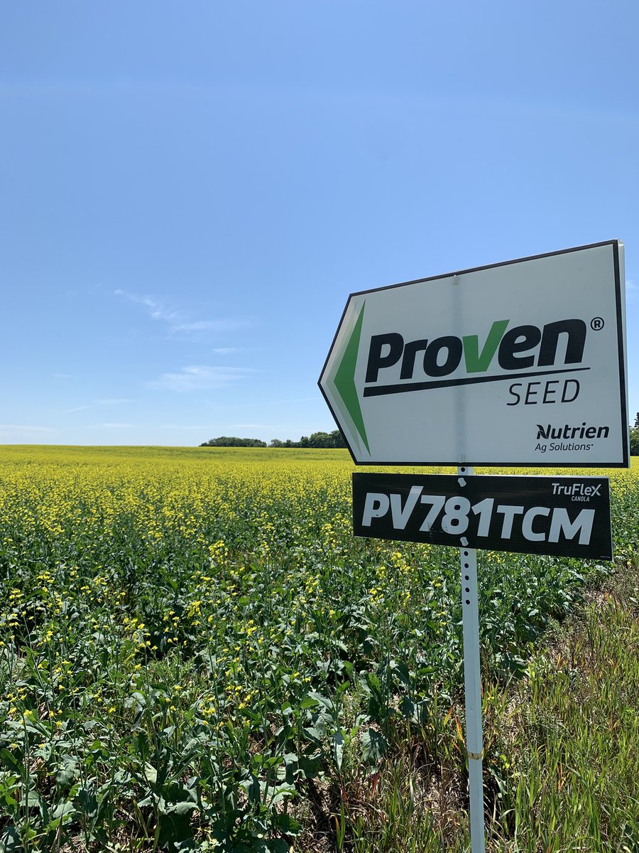 Emily Werschler tweet media