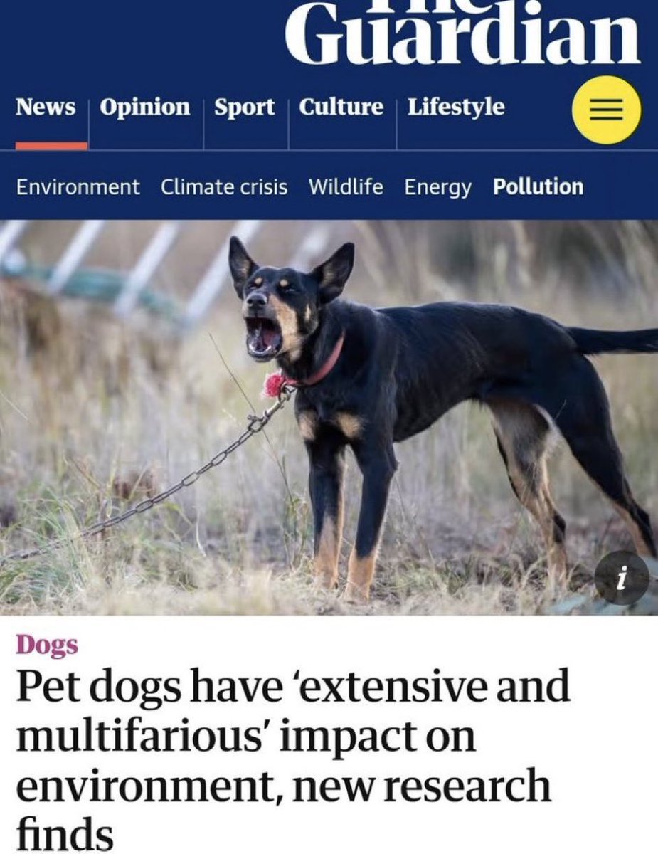 We know who hates dogs …