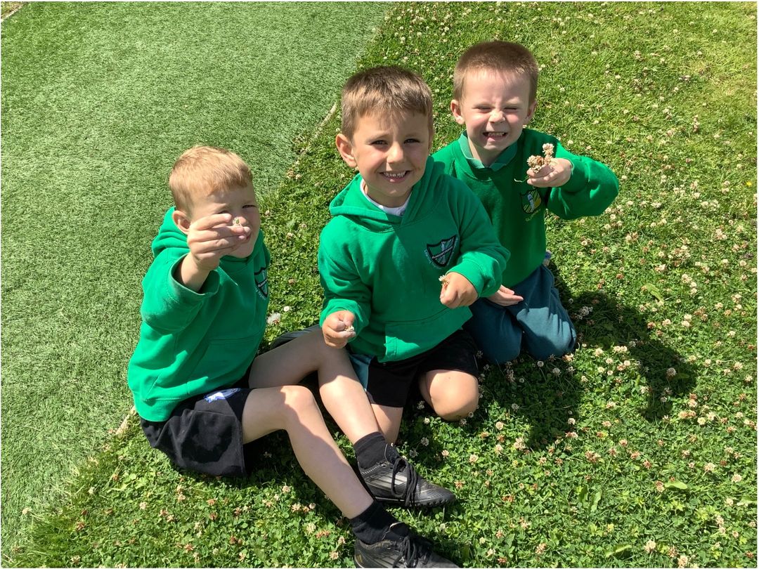 glanhowyprimary's tweet photo. Pupils in Corn Du have been collecting nature treasures around our school to create beautiful summer crowns! #CornDu #SeizetheSeason https://t.co/NshMi77g72