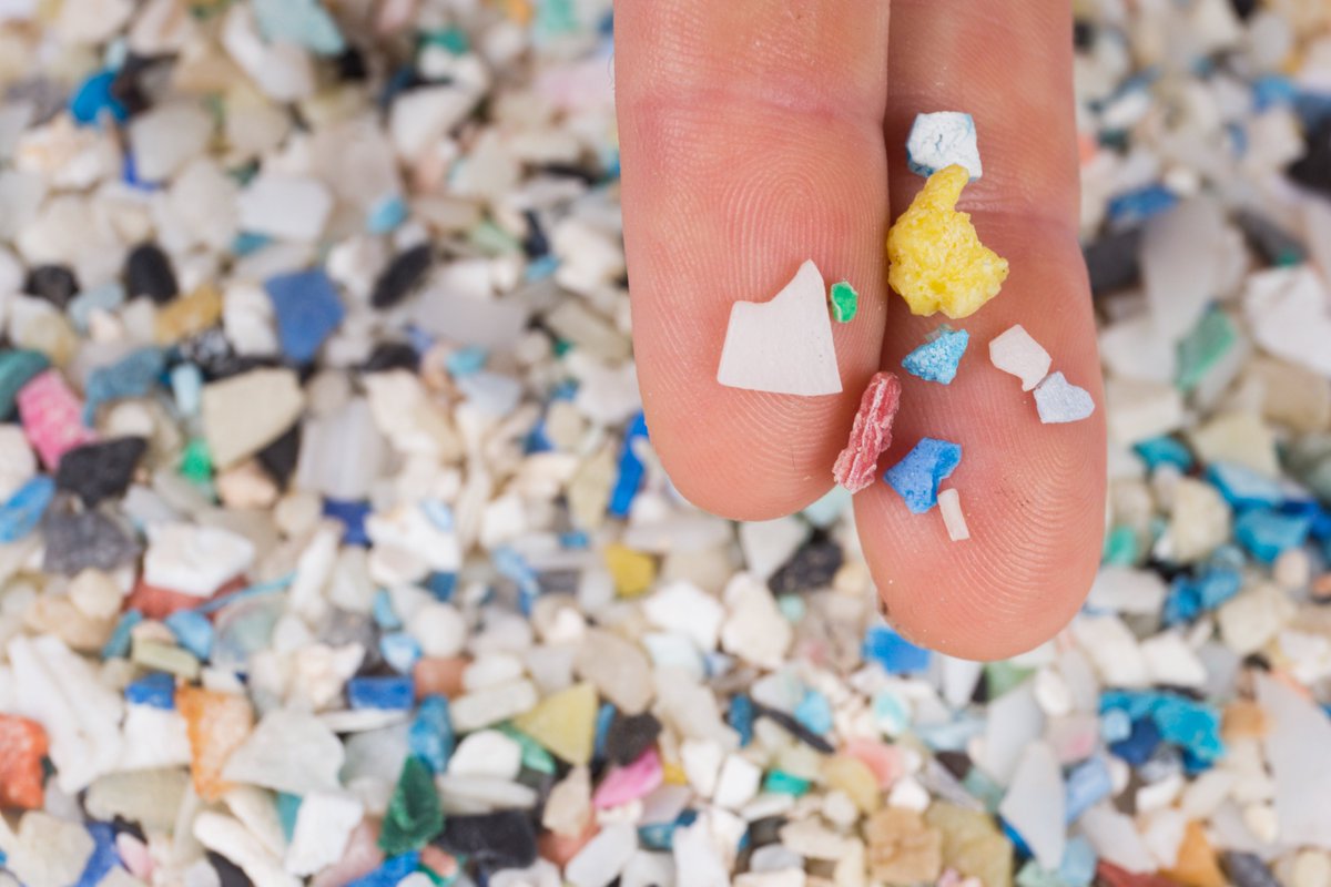 To better understand how #microplastics end up in nature, University of Vermont and <a href="/LakeChamplainSG/">Lake Champlain Sea Grant</a> researchers are combing Vermont beaches for trash.

Learn more about how big plastics become microplastics and how they move through the environment: nhpr.org/2025-06-23/mic…