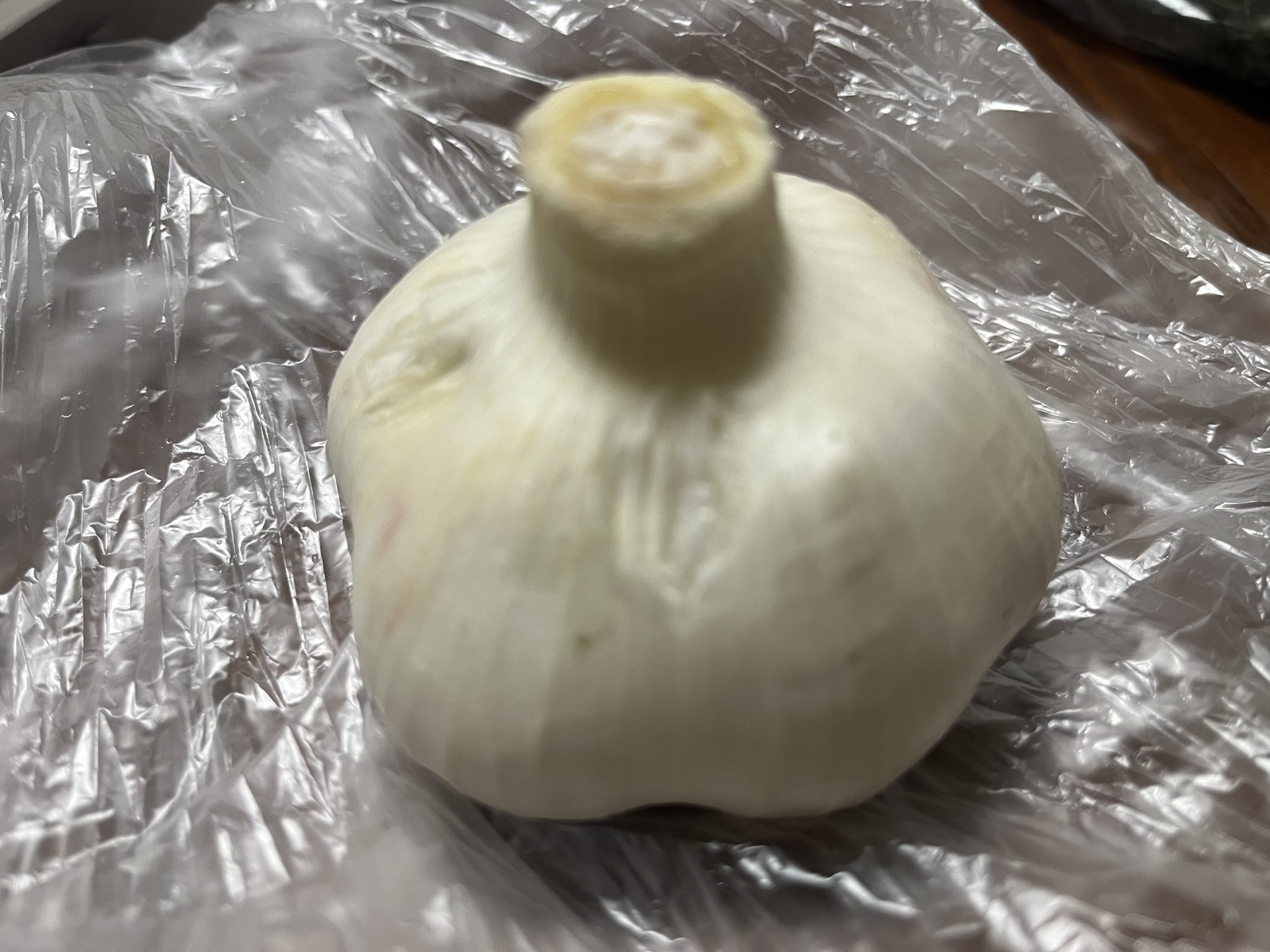 新にんにく　とれたよー ニンニク 種球 お試し嘉定ニンニク (バラ) 10片 送料込み
