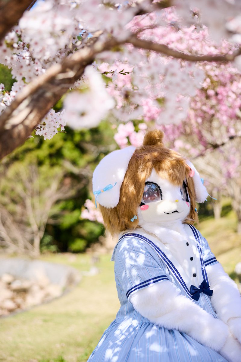 はるさめ⭐︎フォロー割5%⭐︎様 リクエスト 5点 まとめ商品 🍰Happy Birthday to Haruka.S🍰】 本日、2月13日は #佐藤遥