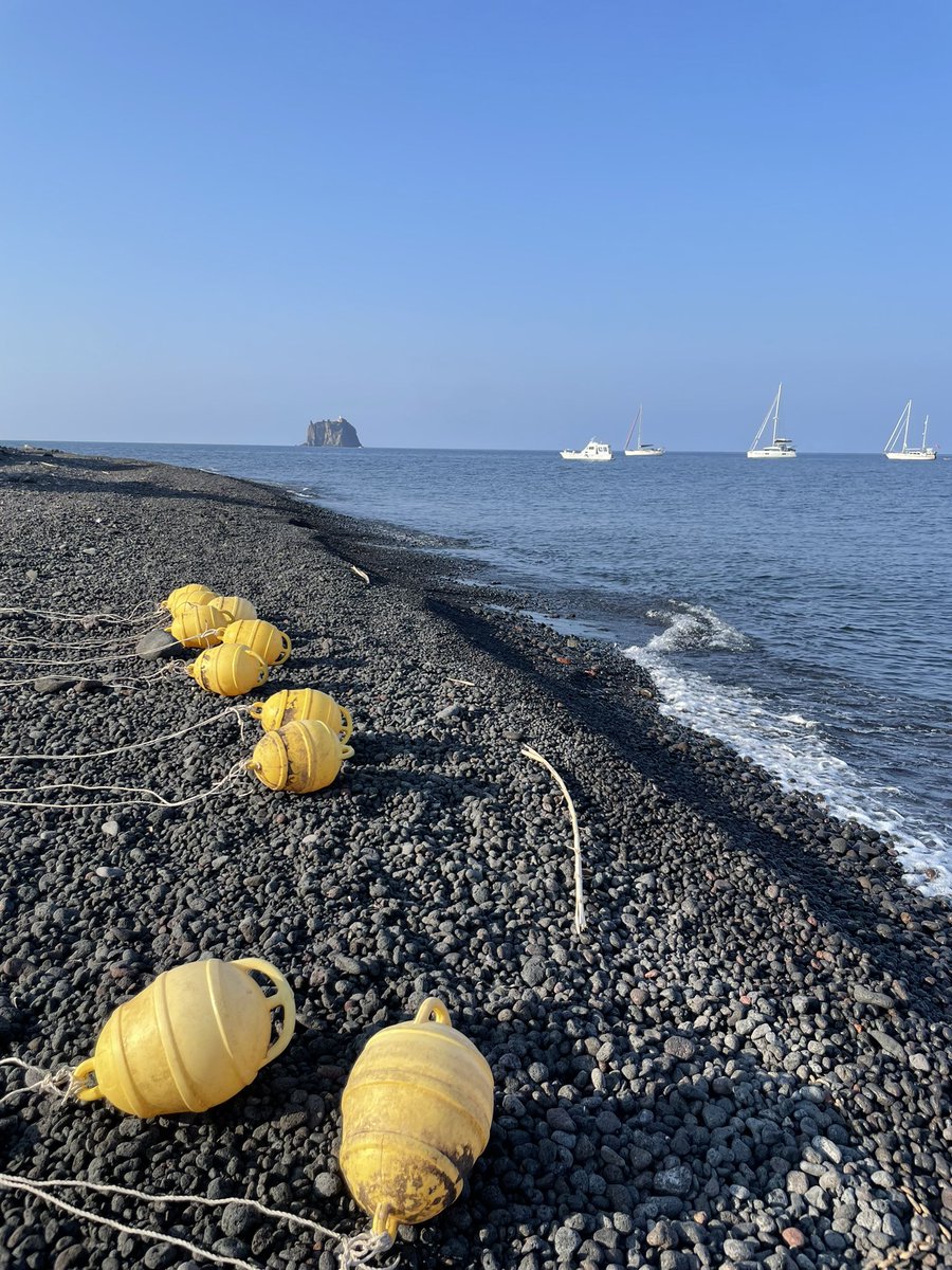 Nensi Coseani tweet media