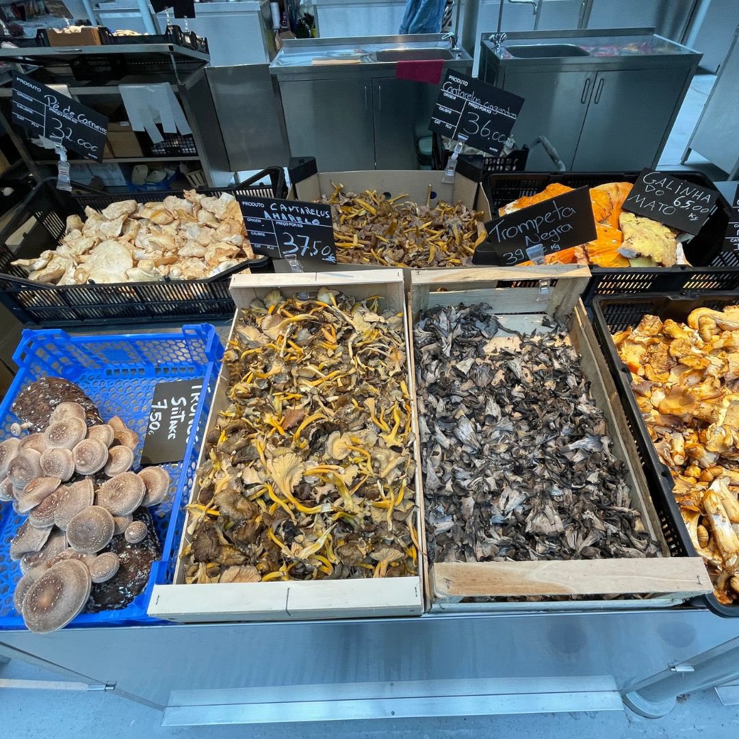 Did you know that there are over 2300 species of edible mushrooms–but only 100-200 are regularly eaten worldwide?
Discover more about fungi and edible terrestrial invertebrates as vital food &amp; deed sources in this new publication

Explore it here 👉 doi.org/10.4060/cd5752…
#CGRFA