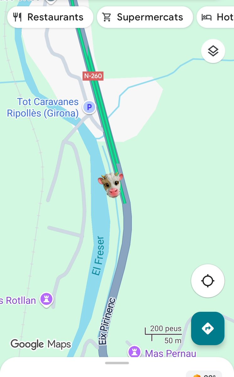 Hi ha una vaca a dins del canal del costat del riu Freser, sentit Campelles a l'altura de la colònia Pernau. He avisat al 112 <a href="/gencat/">Generalitat de Catalunya</a> però es veu que els <a href="/agentsruralscat/">Agents Rurals</a> tenen el telèfon ocupat.