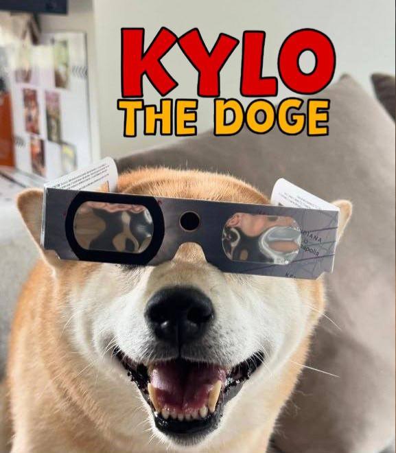 mooniemoonb0y's tweet photo. @ElCryptoDoc @ManyuShiba Just like $KYLO, bounced nicely and off to new ATH

WIll it follow $MANYU's footsteps? 

All we know is this $DOGE is something else hehe

@KyloTheDogeERC https://t.co/IHxKe1vW9c