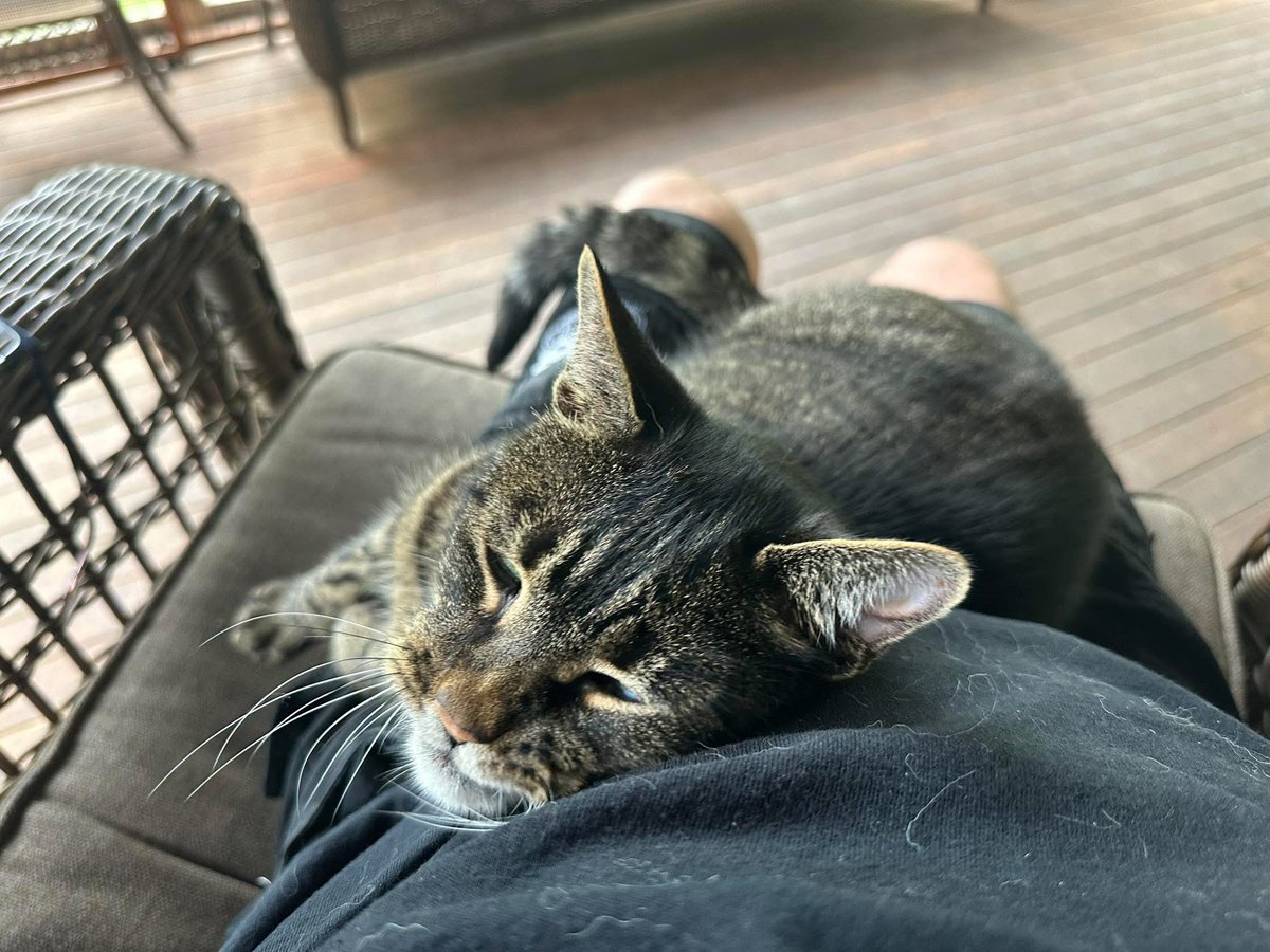 Miss you all!

One of the best parts of retirement is sitting on the porch sipping my coffee with “Gabriel” on my lap and knowing I don’t have to get ready for work.