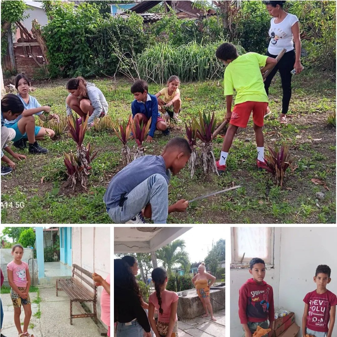 SantamariaCueto's tweet photo. @edelzm1
@CuetoEducadores @DPEHolguin @CubaMined
Movimiento PAPI
Entre las acciones realizadas están: trabajo en el huerto,  brigada de higiene y salud y recogida de materia prima. https://t.co/gM2NxkrCHw