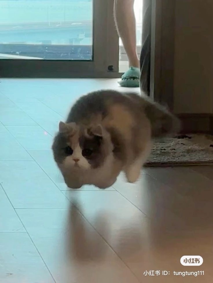weeeeee