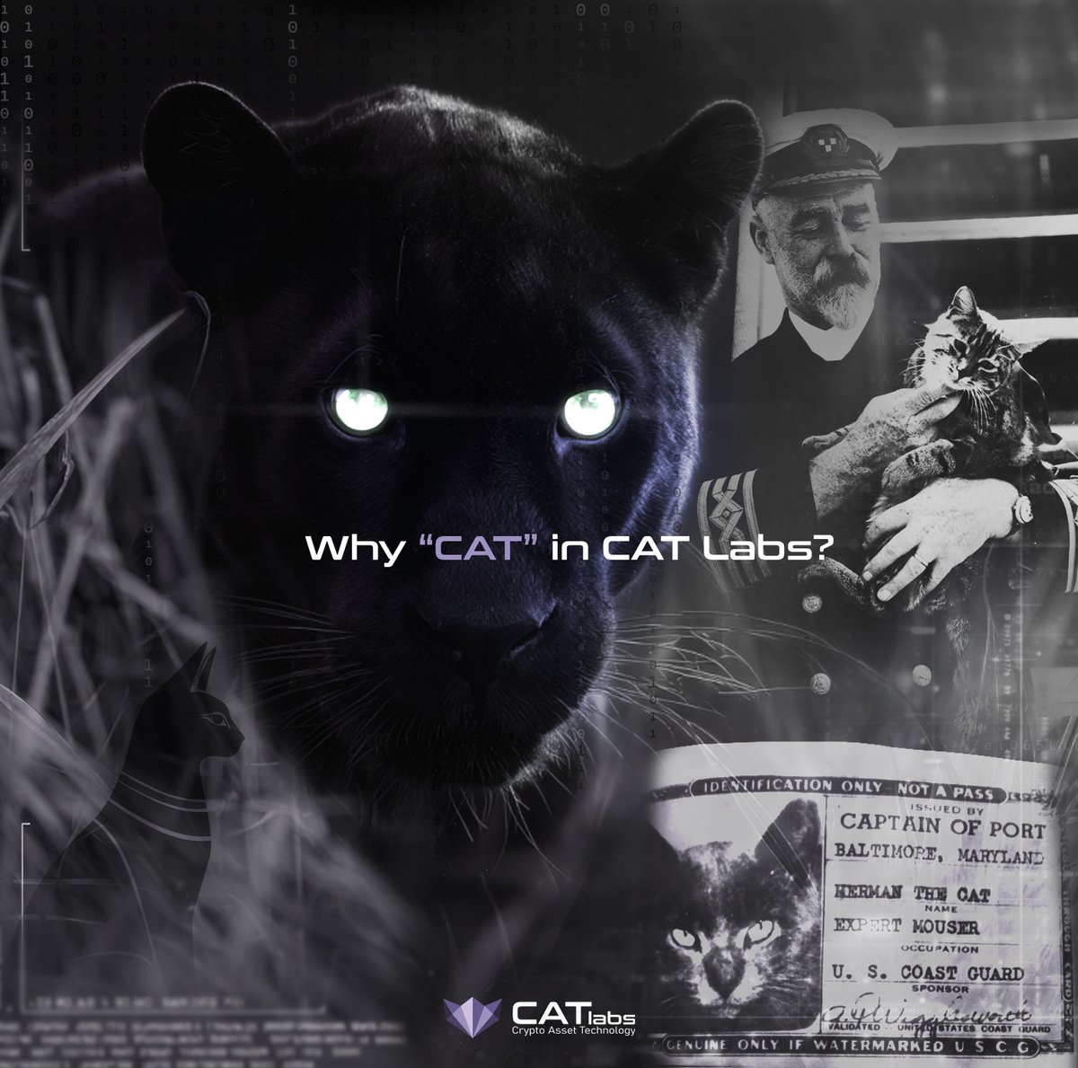 CAT Labs - Crypto Asset Technology Labs (@CatCryptoLabs) / Posts / X