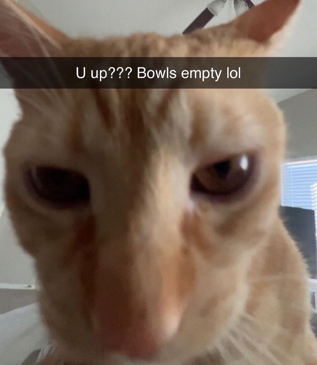 by the way if you're late to the party... to my jbl enjoyer mutuals pls answer 🙏🏼