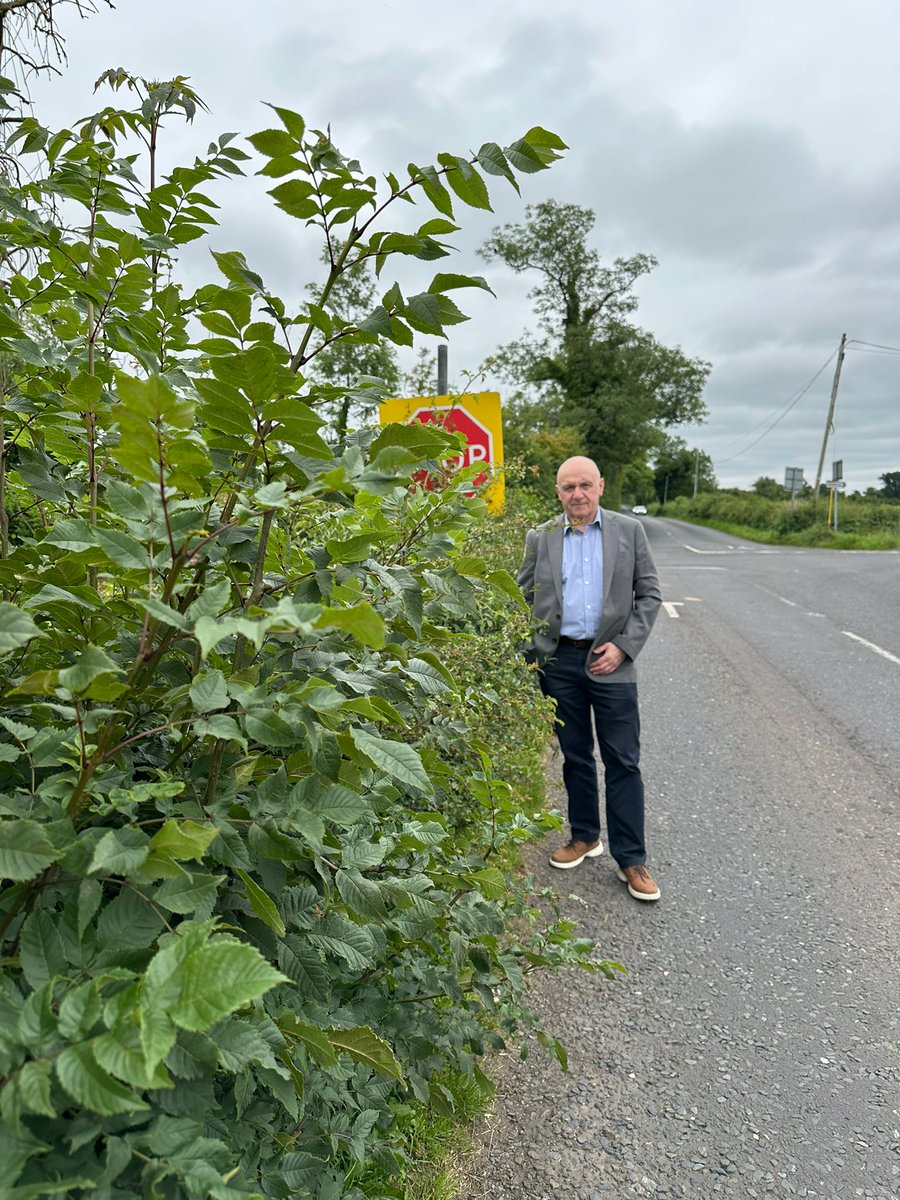 A road safety issue, an obscured stop sign at the Ballynadrentagh Rd/Crumlin Rd junction, between Aldergrove and Crumlin, reported to DfI today, with a request for urgent action. This is at an intersection between a number of roads with a 60mph speed limit.