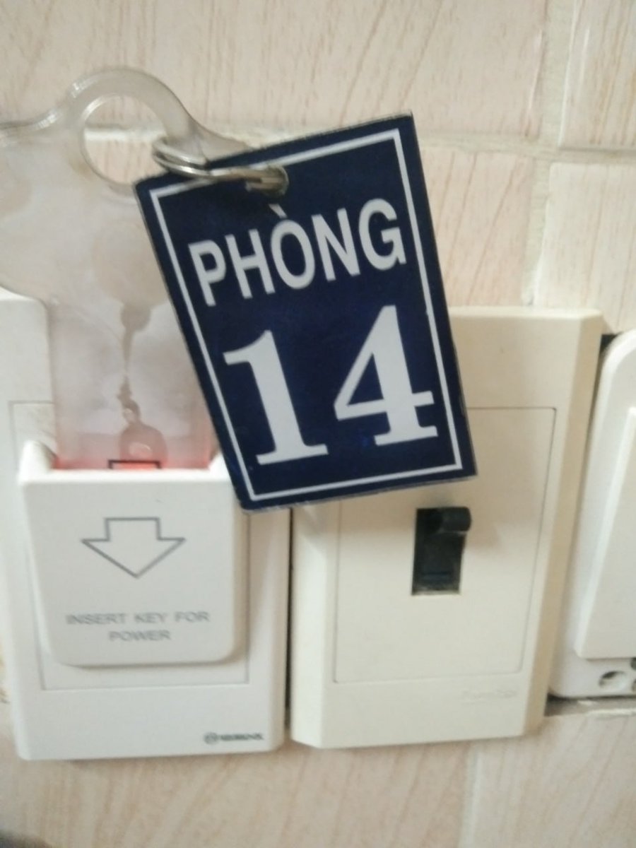 linh linh tweet media