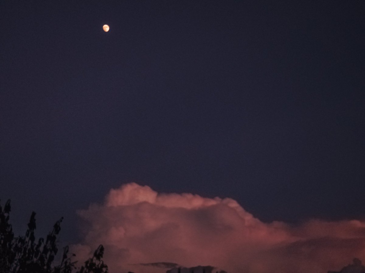 Sachin Acharya🇳🇵✨️ (@sachinacharya) on Twitter photo Moonlit clouds at dusk, painted with the last hues of the setting sun.✨️🌖
#landscape #photography #nature #moon #clouds #StromHour #ThePhotoHour #withGalaxy #ShotOnSnapdragon
<a href="/ThePhotoHour/">#ThePhotoHour</a> <a href="/AP_Magazine/">Amateur Photographer</a> Moonlit clouds at dusk, painted with the last hues of the setting sun.✨️🌖
#landscape #photography #nature #moon #clouds #StromHour #ThePhotoHour #withGalaxy #ShotOnSnapdragon
<a href="/ThePhotoHour/">#ThePhotoHour</a> <a href="/AP_Magazine/">Amateur Photographer</a>