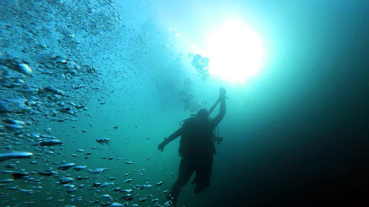 PlymUni's tweet image. Learn more about our new MSc Expedition and Marine Medicine programme developed for medics and healthcare professionals.
This programme offers a variety of pathways with an expedition or diving medicine focus.
Register your place 👇plymouth.ac.uk/whats-on/exped…