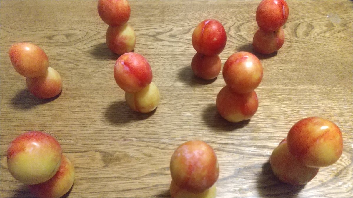 「世界は微妙なバランスで成り立っている」と、すもも達が言っている
"The world exists in a delicate balance," say the plums.