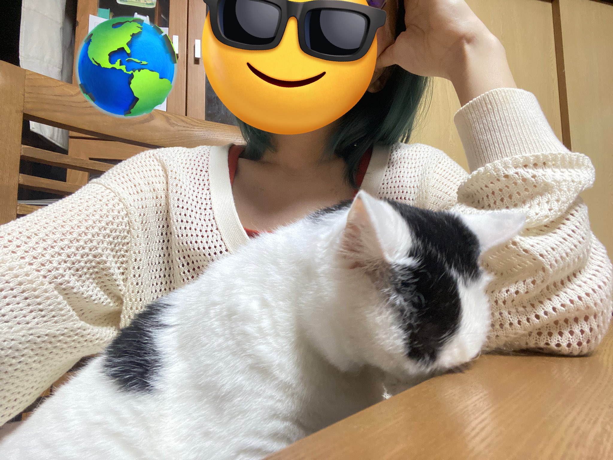 「チュー待ちだよ」キツネの子 きつねさん🔪 on X: 